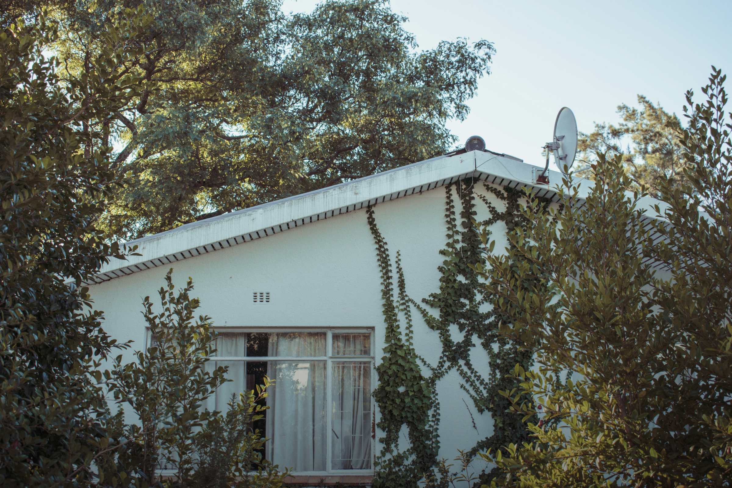 Website Images - Landscape (5)