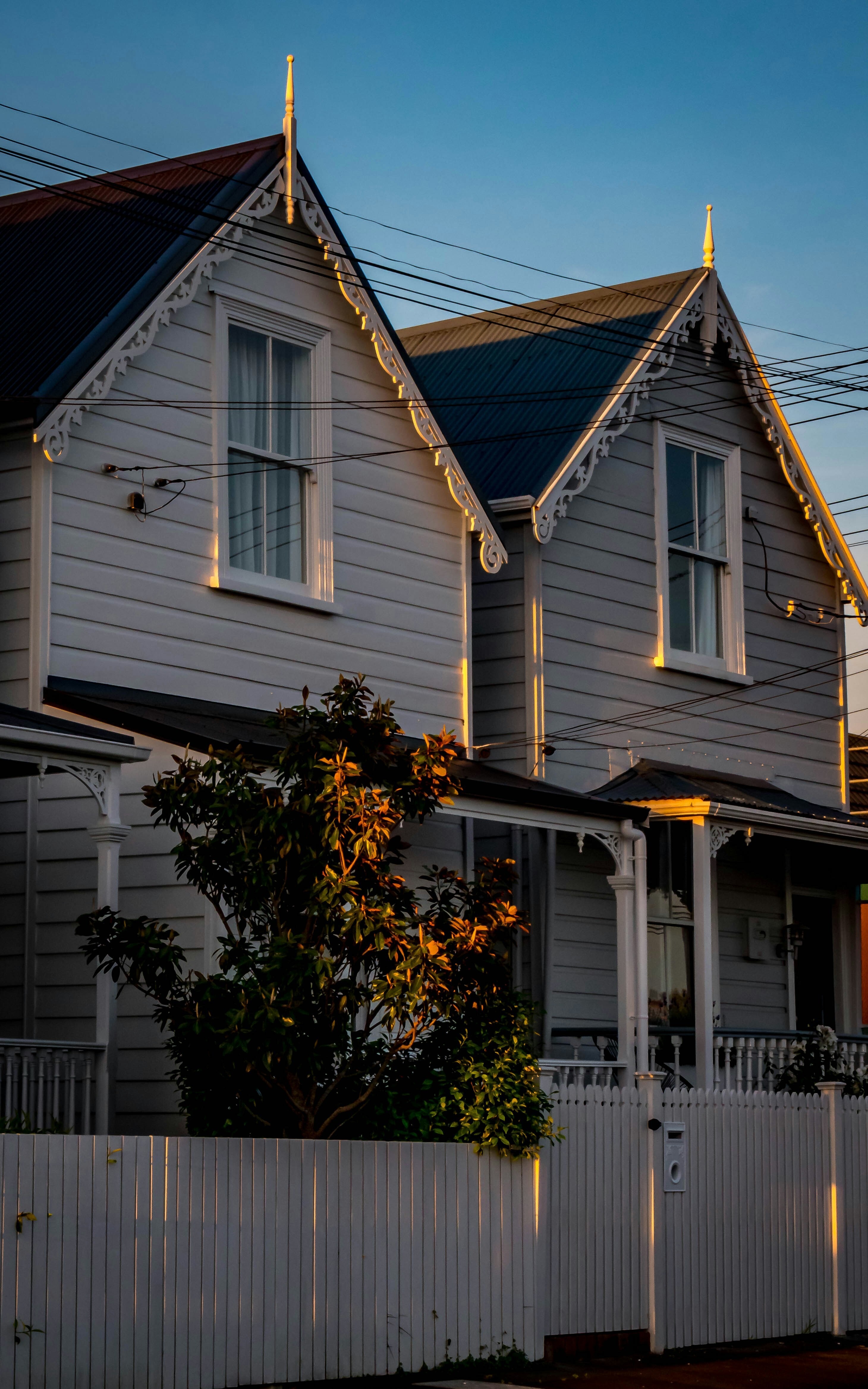 leyvaine-davids-3skCi2NVIBk-unsplash